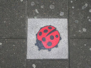amsterdam5.jpg