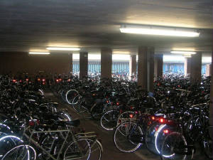 bikes2.jpg
