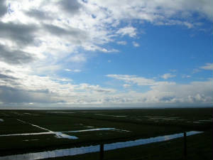 dscn0378.jpg
