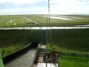 dscn0384.jpg
