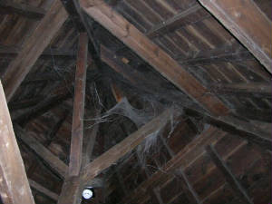 dscn0722.jpg
