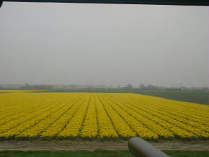 dscn1363.jpg
