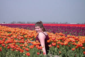 tulpen029.jpg