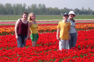 tulpen040.jpg