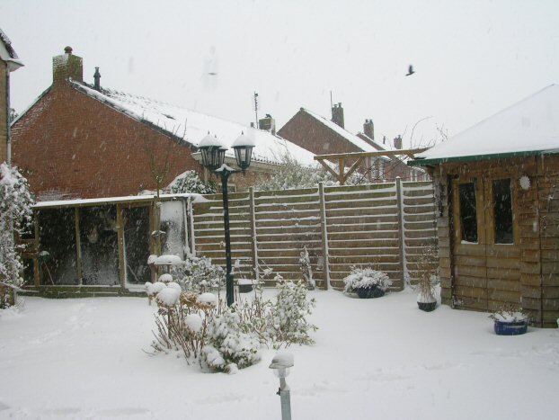 snow.jpg