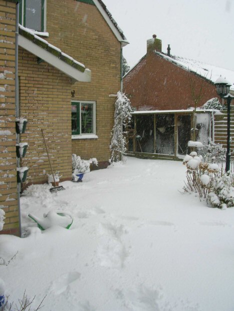 snow2.jpg