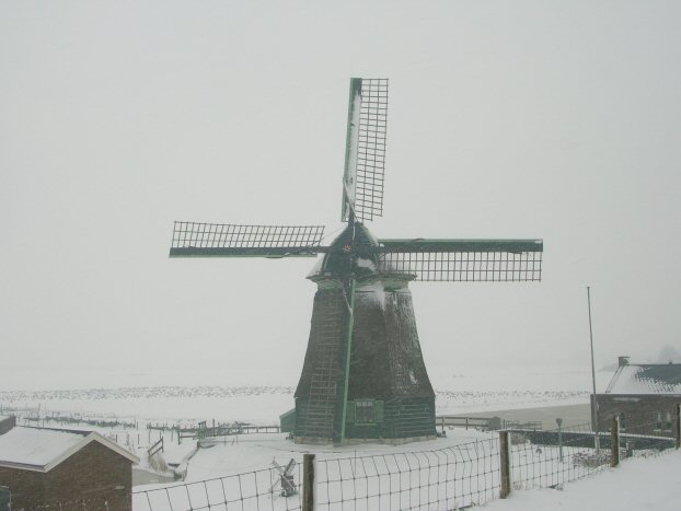snow4.jpg